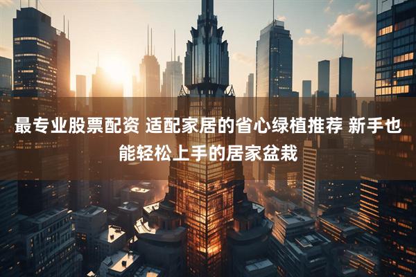 最专业股票配资 适配家居的省心绿植推荐 新手也能轻松上手的居家盆栽